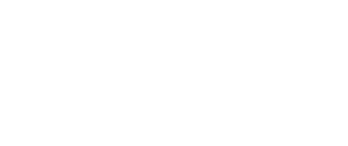 DMS Car Care logo